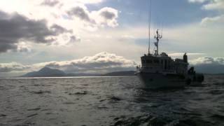 Clare Island Ferry Co Vessels Clew Bay Queen amp Pirate Queen [upl. by Krik]