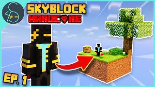 I Tried Minecraft Skyblock but its HARDCORE Ep 1 [upl. by Lyrehc496]