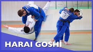 AbcJudo Technika Harai Goshi Łukasz Golus [upl. by Ralli]