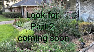 August Garden Tour Part 1 Zone 8B Front yard 🌸 [upl. by Abner]