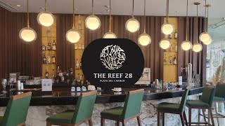 ALL INCLUSIVE RESORT 33 THE REEF 28 IN PLAYA DEL CARMEN [upl. by Dorolisa299]