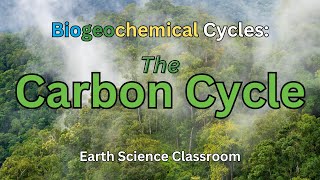 Detailing The Carbon Cycle [upl. by Dierdre]