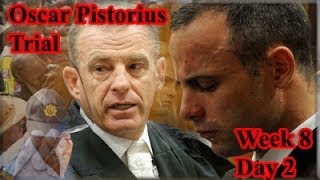 Oscar Pistorius Trial Tuesday 13 May 2014 Session 2 [upl. by Naffets797]