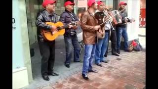 Balkan Musik Türk Halk Müziği Türkische Volksmusik Turkish folkmusic folklore [upl. by Ramirolg]