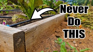 5 Beginner Raised Bed Garden WATERING MISTAKES to Avoid [upl. by Anastase]