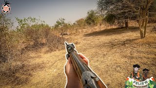 Mon plus beau phacochère En chasse au petit gibier Magnifiques moments à la passée Senegal [upl. by Rosenberger]