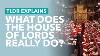 What Does the House of Lords Really Do  TLDR Explains [upl. by Gilmore]