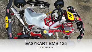 PRIMA ACCENSIONE IN ASSOLUTO  GOKART EASYKART BMB 125cc [upl. by Anirahtak]