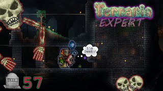 Dungeon Time Babyyy  EXPERT Terraria EP 8 [upl. by Enimaj]