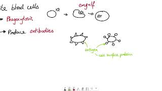 AQA GCSE  B5 Communicable diseases OVERVIEW [upl. by Procter]