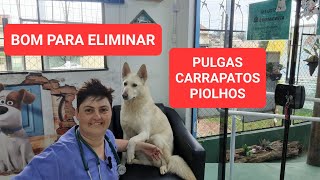 ELIMINAR CARRAPATOS PULGAS E PIOLHOS [upl. by Naraj853]