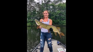 Hayward Lakes Fishing Wisconsin Callies Big Tiger Musky [upl. by Chung]