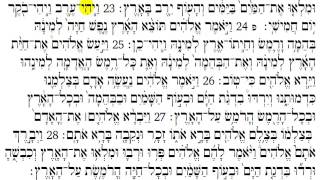 Torah Reading  Genesis Chapter 1 [upl. by Cheke]