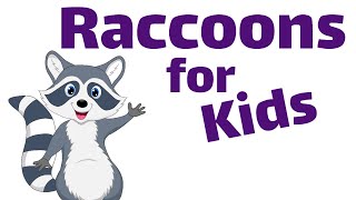 Raccoons for Kids  Homeschool Pop [upl. by Hayes354]