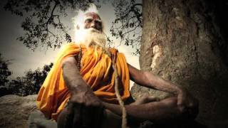 YOGA IS A Transformational Journey  movie trailer [upl. by Beisel284]