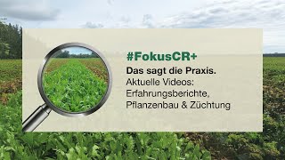 FokusCR  Phytopathologie [upl. by Auqcinahs]