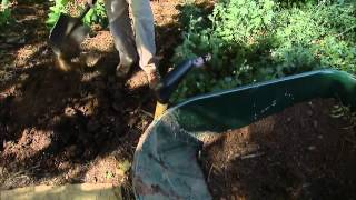 Transplanting and Dividing Perennials [upl. by Duvall]