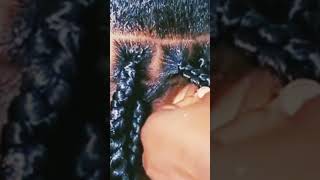 Twist braid tutorial braids twistbraids youtubers subscribe [upl. by Anihsak]