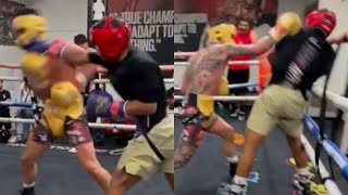 Curmel Moton Mastering Floyd Mayweather SHOULDER ROLL Defense in Sparring Gervonta Davis 20 [upl. by Noell]