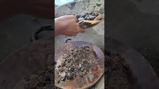 gold prospecting 2024 finding gold in sand gold prospecting for beginners [upl. by Ahseirej367]