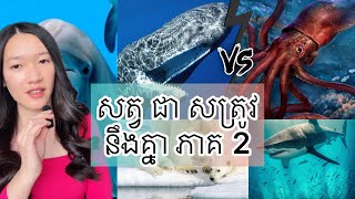 សត្វ ជា សត្រូវ នឹងគ្នា ភាគ 2  Animal that hate each other part 2 [upl. by Alrrats901]