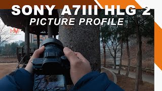 HLG2 REC 709 SONY A7III  MVF [upl. by Goldsmith]