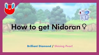 How to get Nidoran♀ in Pokémon Brilliant Diamond amp Shining Pearl 029 [upl. by Hoem875]