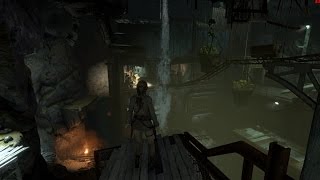 Rise of the tomb raider mine cart tomb excavation Shaft [upl. by Zabrine]