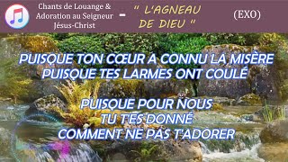 lagneau de Dieu  avec paroles en français  Exo [upl. by Llenart509]