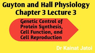 Chapter 3 Lecture 3 Guyton and Hall Physiology  Genetic Control [upl. by Edrock]