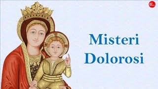 IL SANTO ROSARIO  Misteri DOLOROSI  del DOLORE  Martedì e Venerdì  Con canzone finale [upl. by Nagaer]