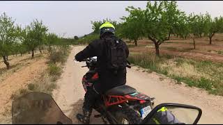 Voge 300 Rally vs KTM 890 y Africa Twin hor11igo [upl. by Adnola]