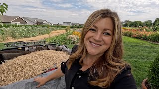 Harvesting Our Wheat amp Turning it Into Flour 🌾✂️👩‍🍳  Garden Answer [upl. by Radek]