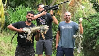 Jungle Hunting Iguanas In Puerto Rico Catch and Cook [upl. by Chivers271]