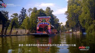 Xochimilco  Ciudad de México CDMX  Barrio Mágico en México  chino barriosmágicos travel [upl. by Eicyal505]