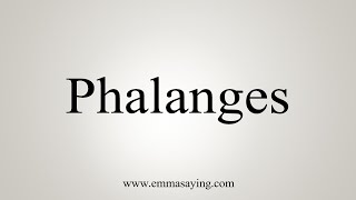 How To Say Phalanges [upl. by Irroc]