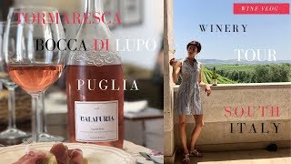 Tormaresca winery vlog a new quality standard for Puglias wines [upl. by Archibaldo]