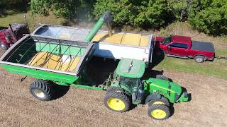 20241002 Rouch Farms Soybean Harvest [upl. by Elladine]