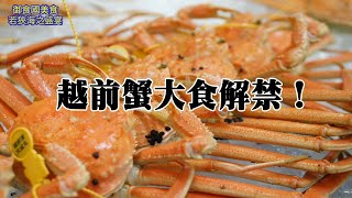 越前蟹漁解禁啦！住民宿豪華海鮮晚餐【中文字幕】 [upl. by Tonya]