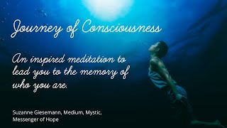 Journey of Consciousness [upl. by Meras]