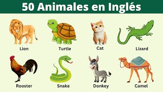 50 nombres de animales en inglés  Vocabulario en inglés [upl. by Kahaleel328]