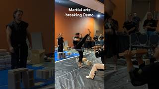 Board don’t hit back but teach confidence power amp technique  Martial arts breaking demo karate [upl. by Norene]