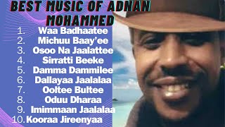 Adnan Mohammed  Best Full Album Music  Oromo Music [upl. by Legge]