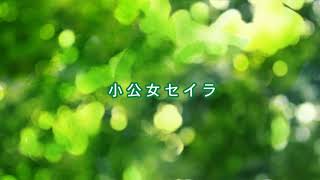 【カラオケ】花のささやき（小公女セイラ）【528Hz】 [upl. by Treblihp788]