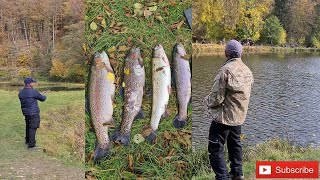 Forellenangeln in Hessen  Naturefish Usingen  VLOG1 [upl. by Pietje]