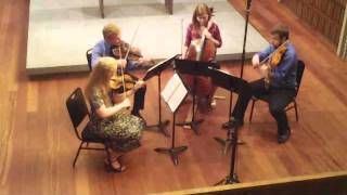 Ars Nova String Quartet  Haydn quotLarkquot Quartet Fourth Movement [upl. by Haroved922]