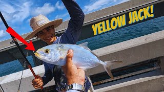 Florida Keys Bridge Fishing [upl. by Basia54]