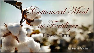 Cottonseed Meal  Plant Based Organic Fertilizer  Growing Flowers  Flower Farm [upl. by Foskett302]