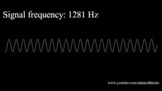 Beware Hurts Animals Ears 2021 Frequencys Low to High Hearing Test  dog whistle [upl. by Adrahc]