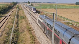 Quelques trains à Episode 6  100 TGV Ouigo inOui sur des nouveaux spots [upl. by Alinna224]